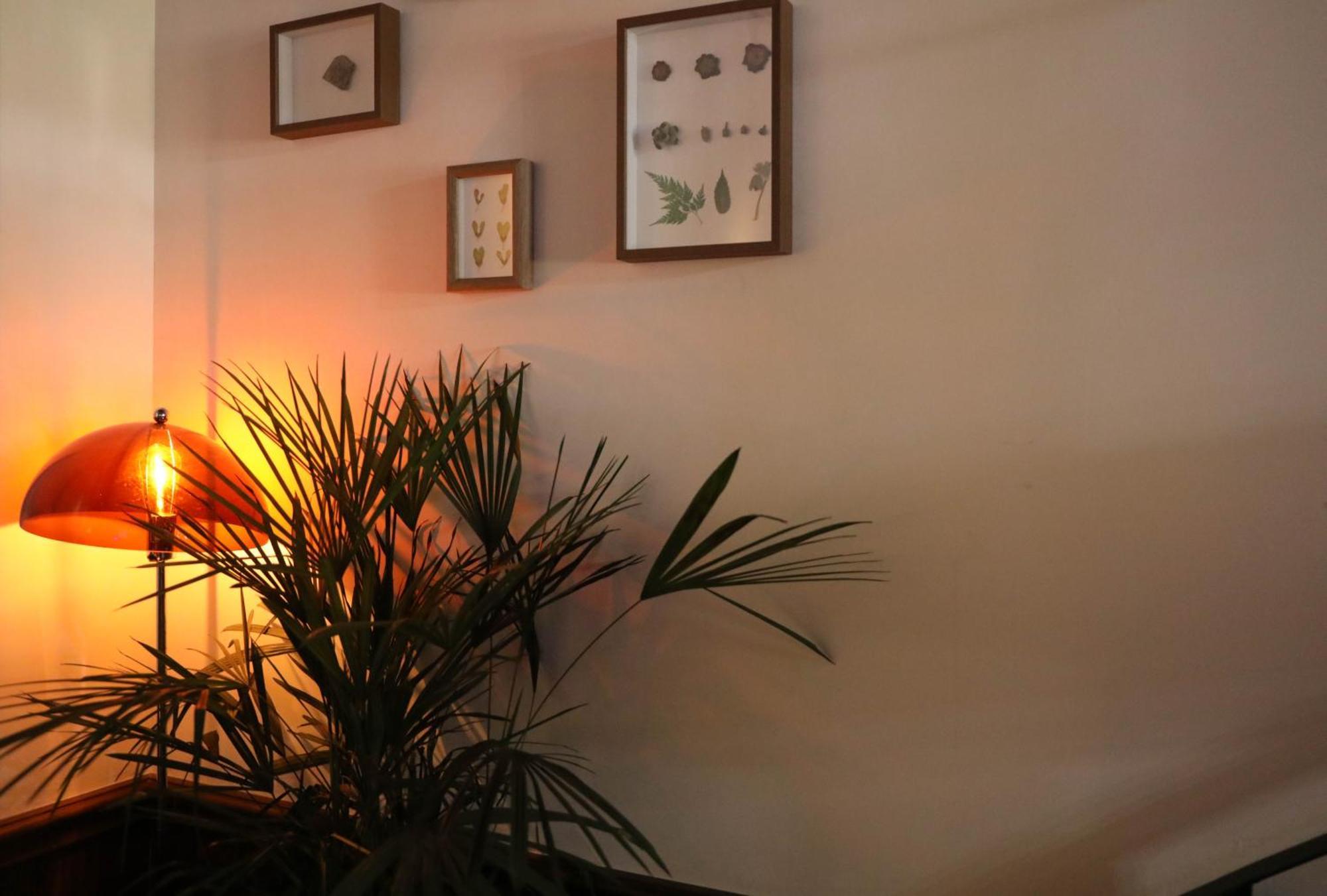 Sonderia Lazybones Hostel- Wenshu Temple Side, Chill Hostel With All-Day Brunch, Travel Agency In English & Local Bar Vibes 成都 エクステリア 写真